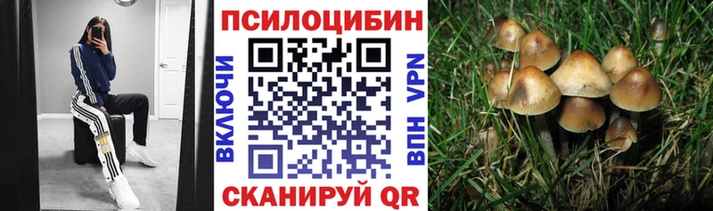 наркошоп мега как зайти Галлюциногенные грибы ЛСД Невьянск